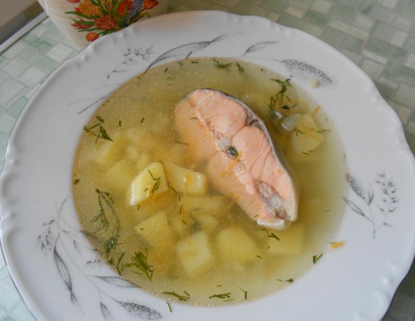 Уха из форели - лучшие рецепты вкусного рыбного супа. Как лучше варить уху из форели