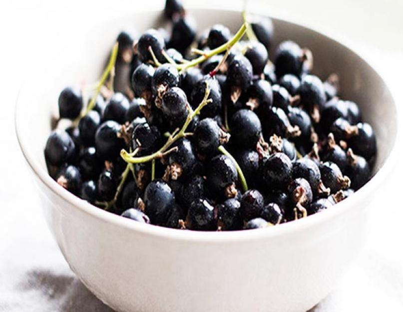 Grosse confiture de cassis.  Confiture de cassis : recettes pour l'hiver