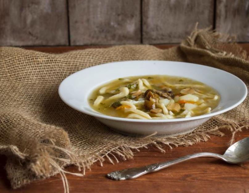 Грибной суп из вешенок – ароматное блюдо для обеда в любое время года. Лучшие рецепты грибного супа из вешенок с курицей, сыром и др. Как приготовить грибной суп из вешенок: варианты. Суп-пюре из вешенок