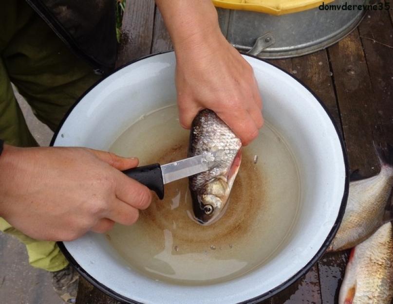 Как и чем быстро почистить рыбу от чешуи? Как почистить речную рыбу от чешуи