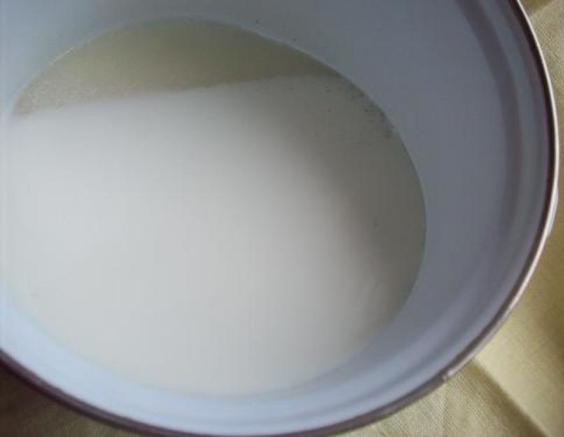 Молочный щербет рецепт в домашних. Как приготовить щербет в домашних условиях: рецепты с фото. Вкуснейший щербет с ореховым ассорти