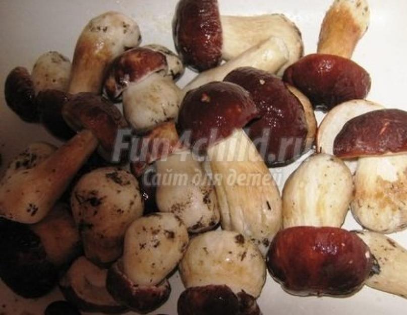 Рецепт грибов на зиму консервированные пошагово. Рецепт с остринкой. Маринованные маслята с корицей