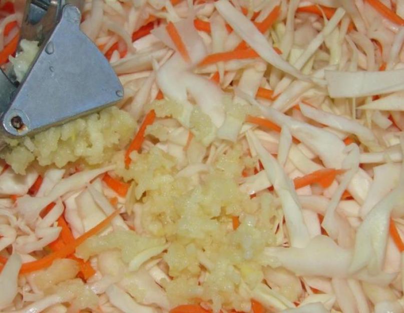 Рецепт маринованной капусты с медом и хреном. Квашеная капуста с хреном