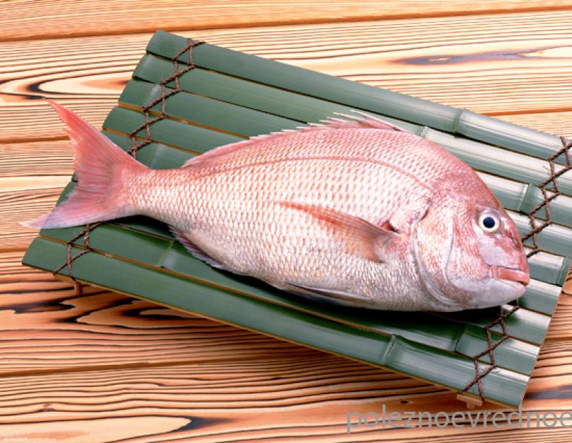 Витамины в тунце. Тунец: польза и вред свежей и консервированной рыбы