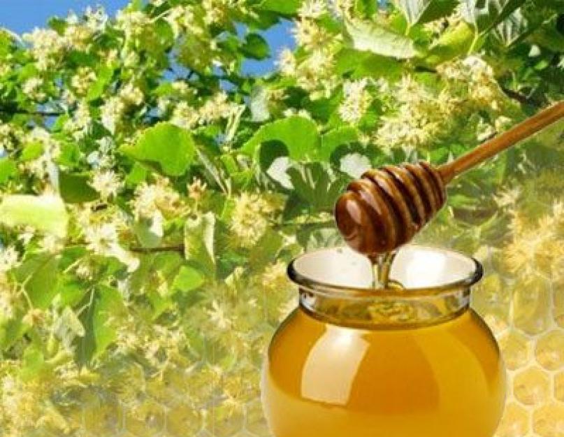 Мед польза и вред для здоровья. Семь мифов о пользе меда