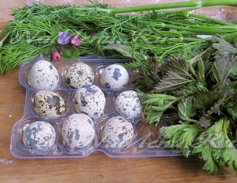 Как красиво покрасить яйца на пасху. Как покрасить перепелиные яйца: идеи и фото