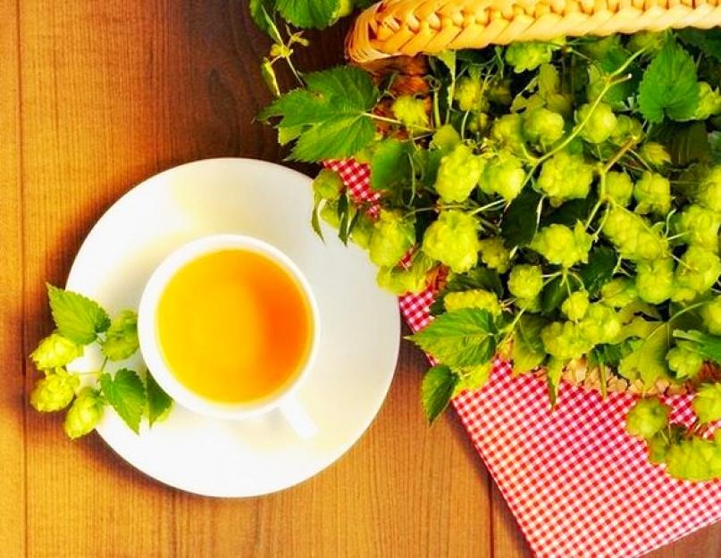 Успокоительные травяные чаи в аптеке. Фитотерапия: показания и противопоказания. Лучшие рецепты фитотерапии