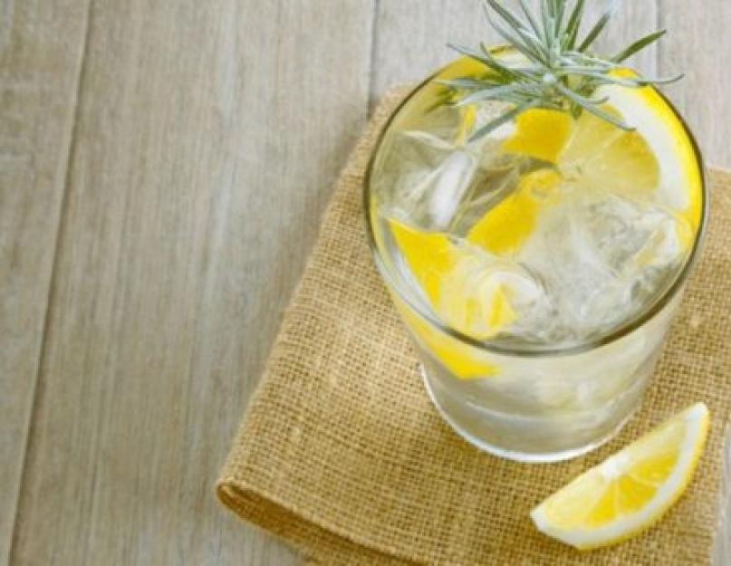 Dans quels verres buvez-vous du gin tonic ?  Avec quoi le gin va-t-il ?  Gin 