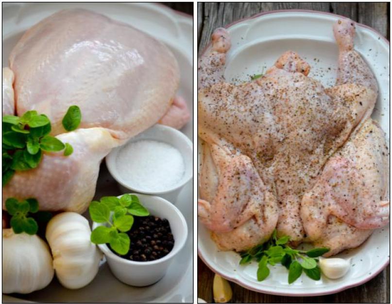 Рецепт курицы табака. Рецепты приготовления цыплят табака на сковороде