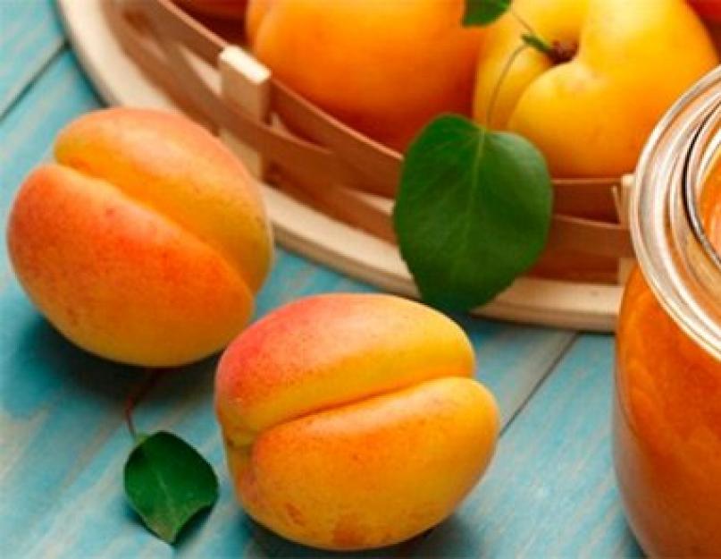 Рецепт варенья густого джема из абрикосов. Изумительный джем из абрикосов: старинный венгерский рецепт и современные способы варки