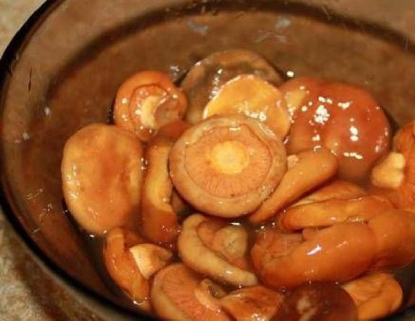 Рыжики грибы приготовление на зиму маринованные. Как мариновать рыжики: самые удачные и проверенные рецепты. Рыжики маринованные без стерилизации