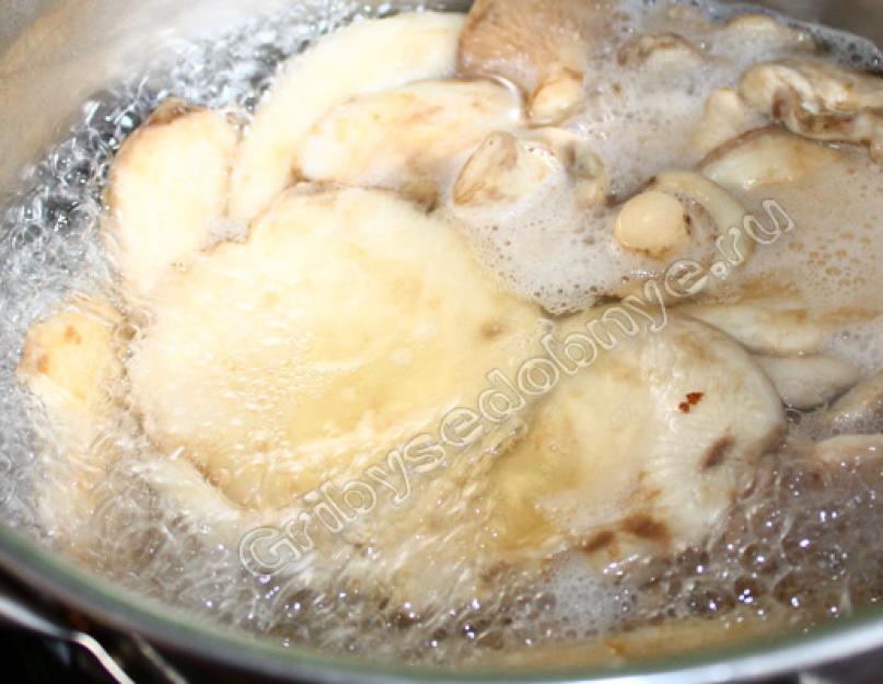 Comment saler les champignons au lait humide dans des bocaux.  Comment bien mariner les champignons au lait blanc pour l'hiver.  Champignons au lait blanc salés froids