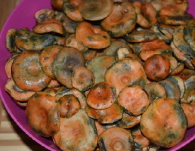 Можно ли солить рыжики. Бабушкины рецепты — соление грибов на зиму (рыжики и грузди). Особенности хранения рыжиков после холодной засолки