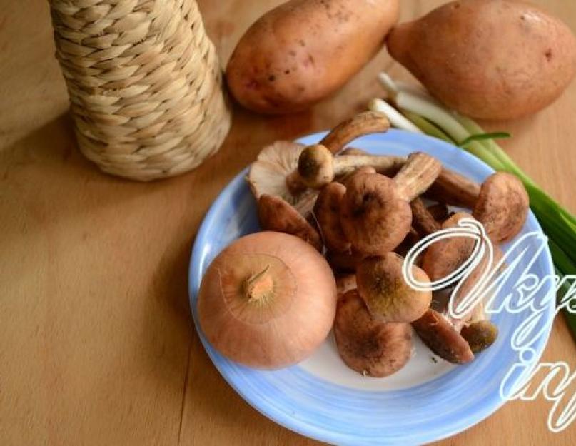 Как приготовить опята с картошкой: рецепты вкусных блюд. Жареная картошка с маринованными грибами