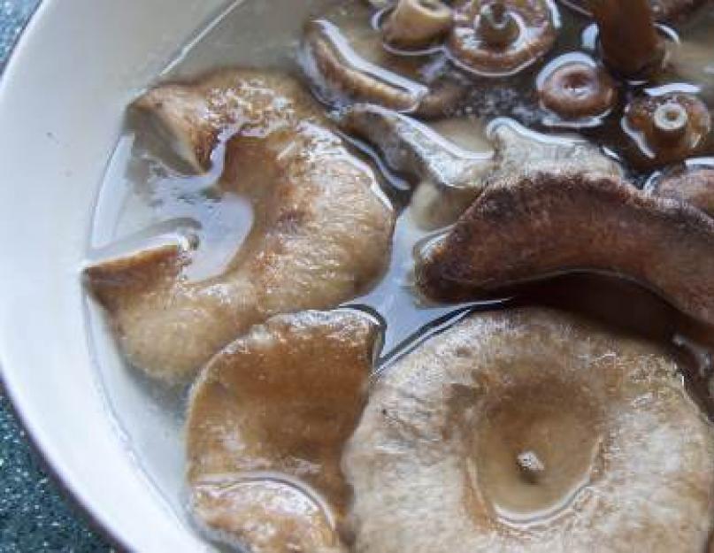Заготовки на зиму рецепты грибы маринованные. Как мариновать грибы на зиму: секреты и основные правила приготовления. Подберезовики, замаринованные на зиму