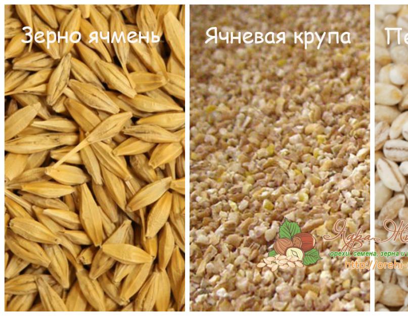 Из какого злака делают перловую кашу. Как приготовить перловую крупу? Перловая каша: польза для похудения