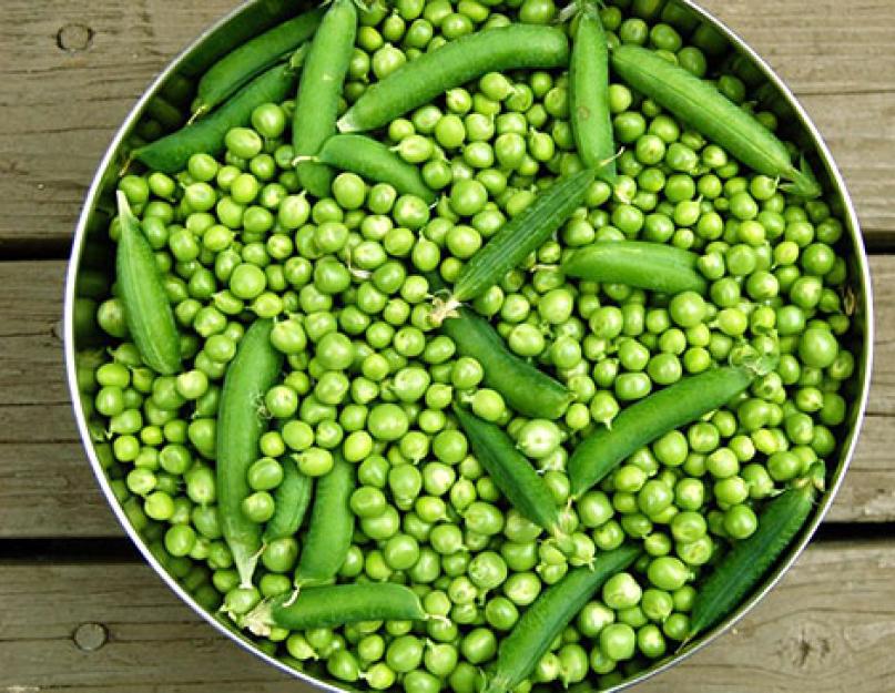 Comment conserver les jeunes pois en cosses.  Récolte des pois verts pour l'hiver sans stérilisation.  Pois verts en conserve pour l'hiver à la maison - recette photo étape par étape