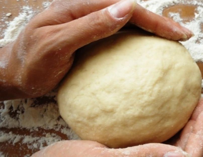 Préparation de la pâte à choux pour les raviolis.  Comment faire de la pâte à choux pour les boulettes.  Pâte à choux pour raviolis : une recette universelle