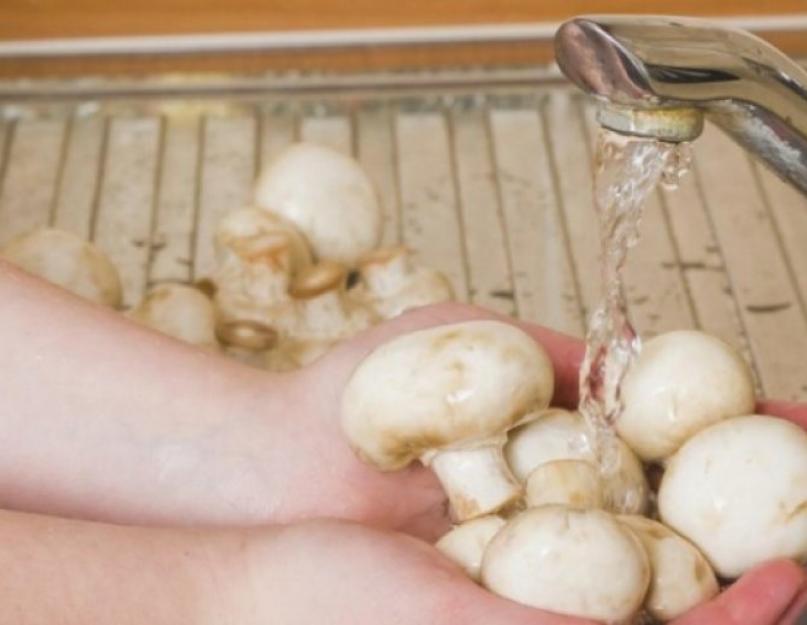 Нужно ли чистить от шкурки грибы шампиньоны перед приготовлением. Нужно ли мыть и чистить шампиньоны