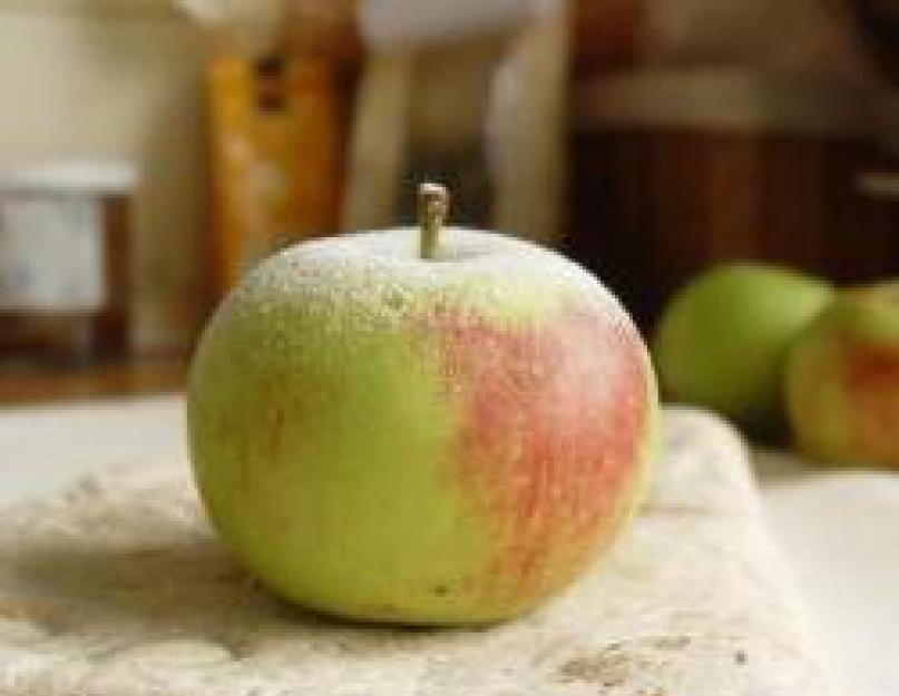 Рецепт яблочного штруделя из лаваша. Штрудель из лаваша с яблоками в духовке