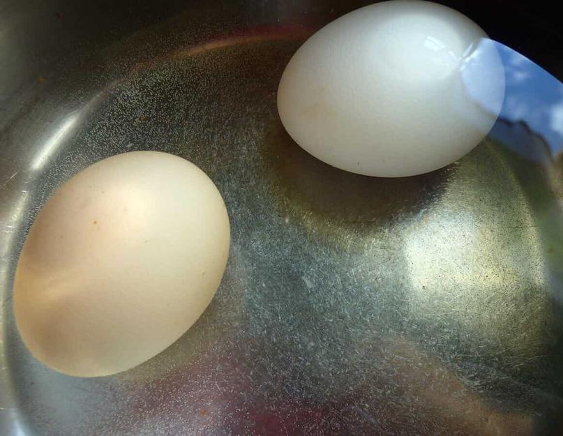 Вареное яйцо всплыло после варки. Что это значит если яйцо всплывает в холодной воде, плавает или тонет