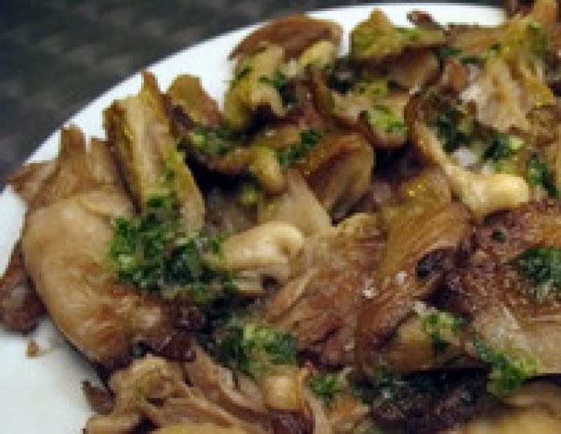 Рецепт грибов сыроежек. Как готовить сыроежки: пошаговые рецепты. Места распространения и время сбора
