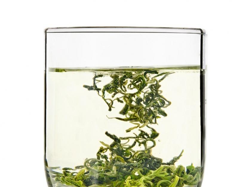 Заварить зеленый чай дело нехитрое, а как это сделать правильно? Как заваривать зеленый чай правильно — важные секреты и полезные советы