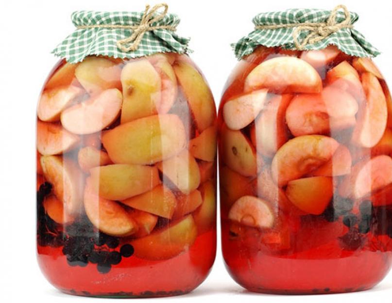 Компот из черноплодки с яблоками на зиму – минимум хлопот, максимум вкуса. Варим «Алтайский» компот: яблоки с черноплодной рябиной. Варенье из черноплодной рябины: вкусные и полезные рецепты
