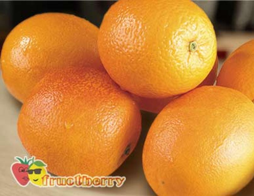 Калории в одном апельсине среднего размера. Сколько весит апельсин? Влияние калорий в апельсине на организм