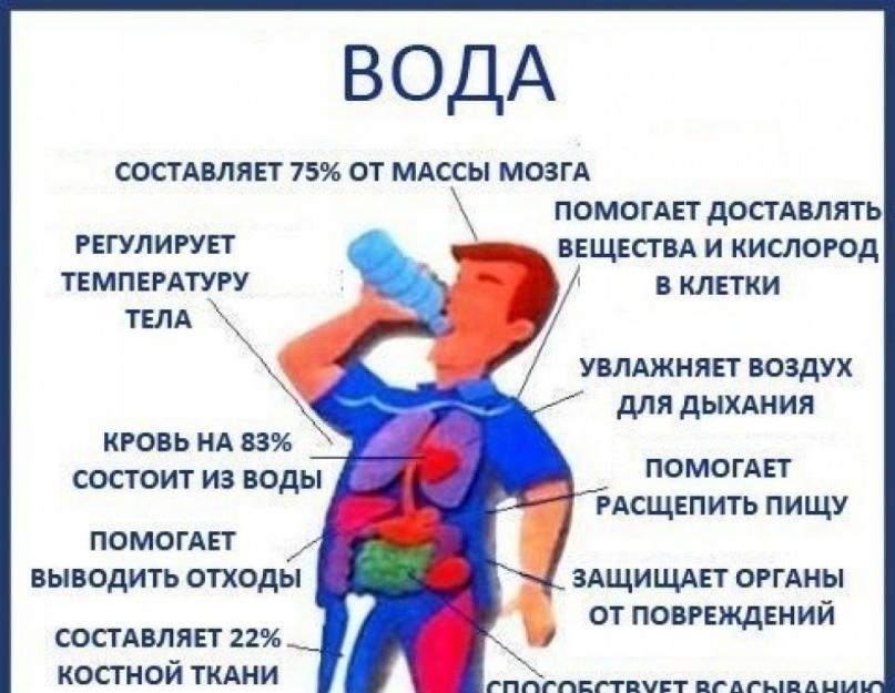 Идеальная температура для браги. При какой температуре происходит брожение браги из сахара и дрожжей