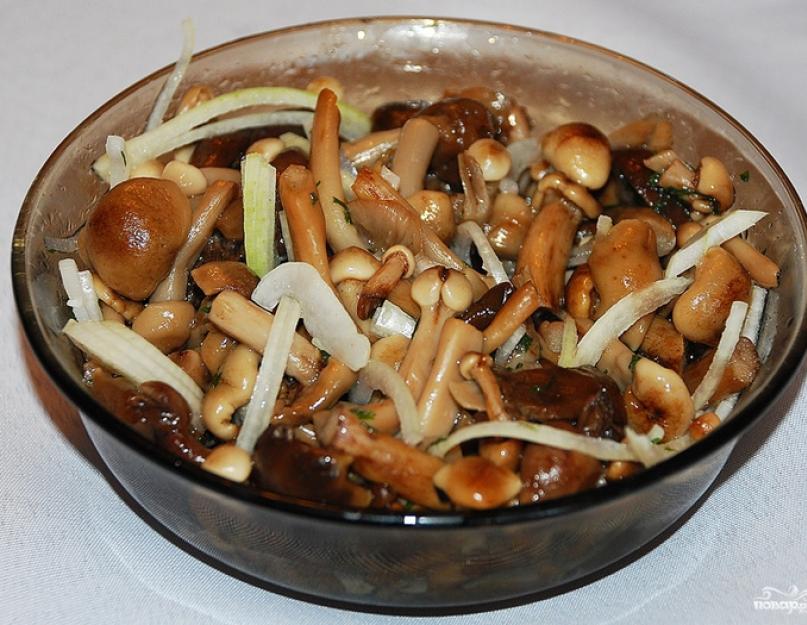 Что можно сделать с опятами свежими. Что приготовить из свежих опят на зиму и на ужин: пошаговые фото-рецепты грибных блюд