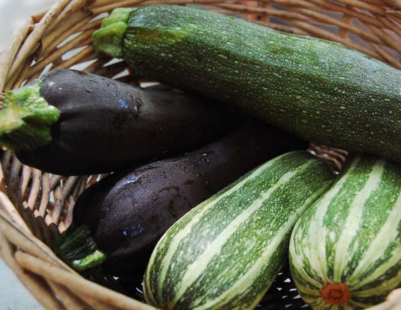 Les betteraves sont un légume féculent.  Légumes féculents et non féculents : liste et description