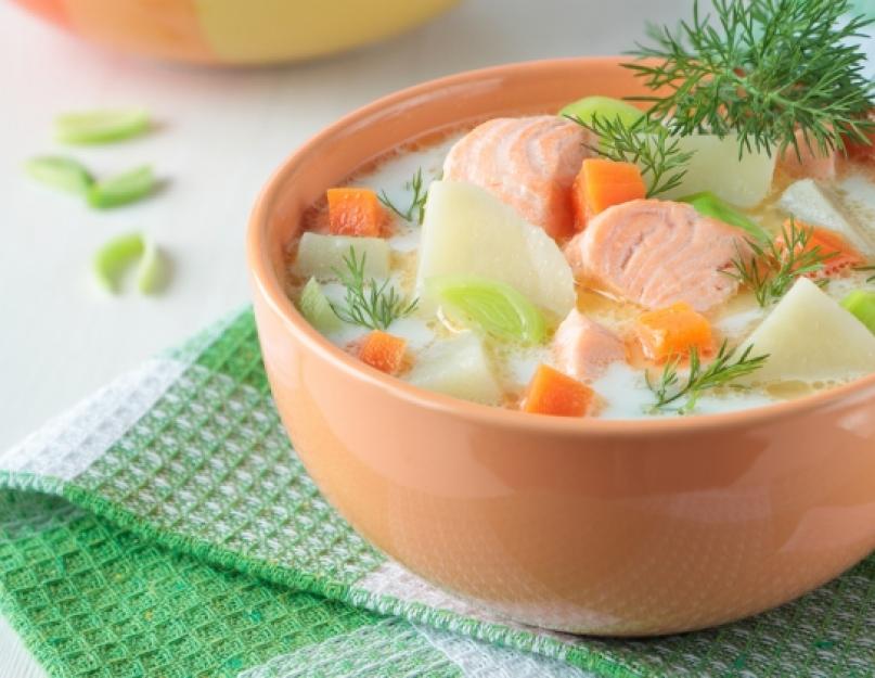 Сливочный суп с семгой - самые вкусные рецепты необычного скандинавского блюда. Готовим суп из семги