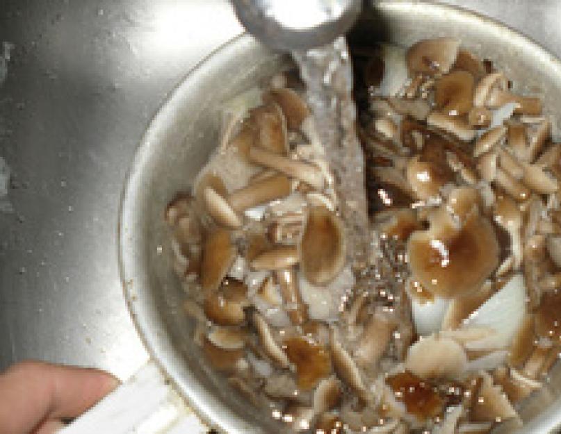 Нужно ли снимать юбочку у опят. Как правильно мыть грибы. Рецепты блюд и заготовок