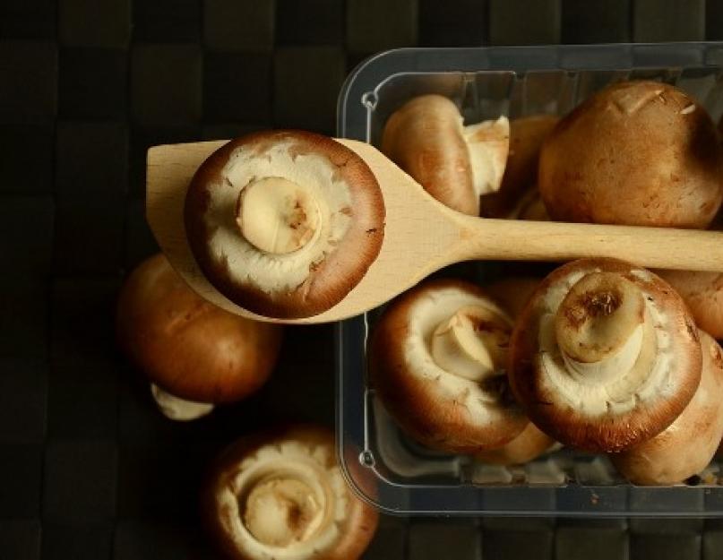 Сколько могут храниться свежие грибы без холодильника. Заморозка и хранение белых грибов в холодильнике. Сохранение продукта в морозильной камере