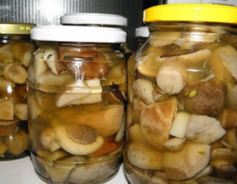 Подберезовики: рецепты приготовления грибных блюд. Чистота грибных тел: как мыть и чистить подберёзовики и подосиновики