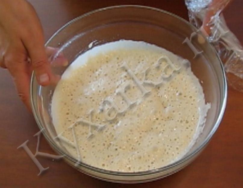 Дрожжевой пирог с замороженной черникой. Как приготовить пирог с замороженной черникой по пошаговому рецепту с фото. Тесто для пирога с замороженной черникой