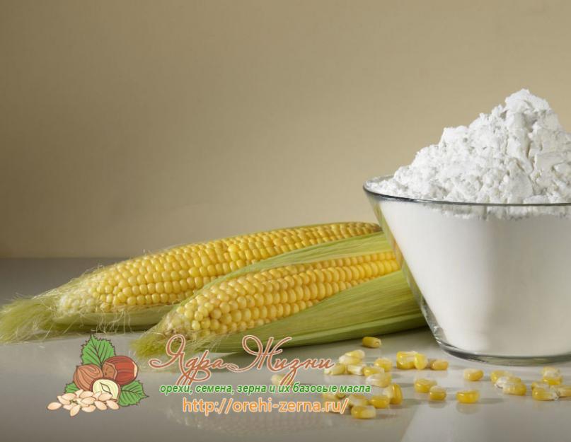  Что такое кукурузный крахмал. Противопоказания и возможный вред