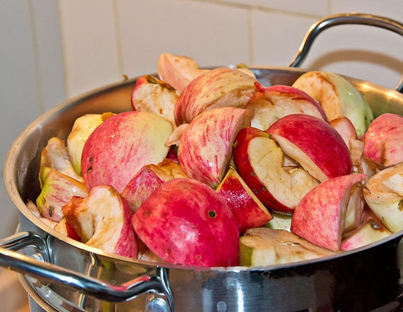 Рецепты приготовления соков в пароварке. Заготавливаем яблочный сок. Яблочный сок в домашних условиях на зиму: через соковыжималку, в соковарке, сок с мякотью, с морковью. Руководство по эксплуатации