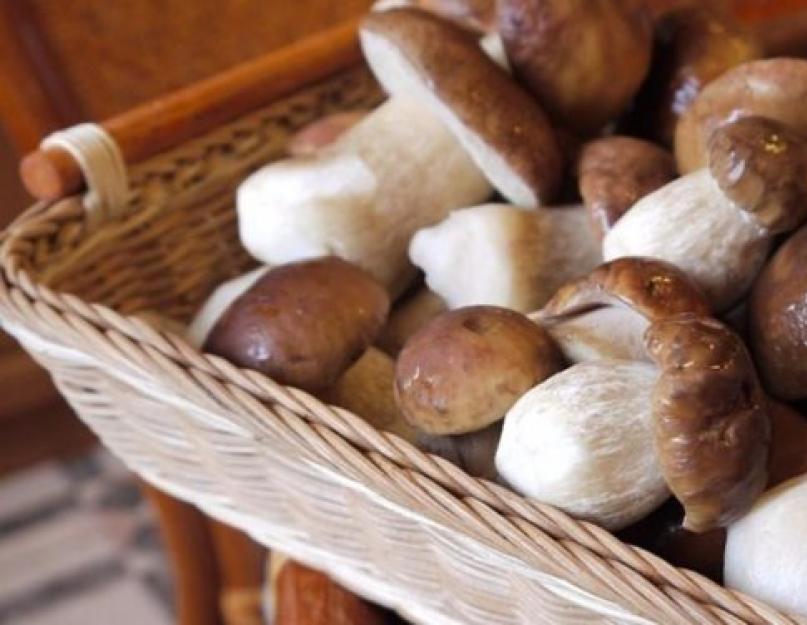 Жареные белые грибы на зиму заморозка. Как правильно заморозить белые грибы на зиму. Хранение свежих белых грибов