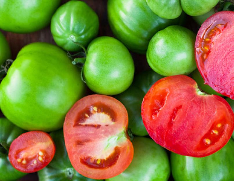 Салат из жареных зеленых помидор. Фаршированные зеленые помидоры. Вкусный и простой рецепт зеленых помидор на зиму