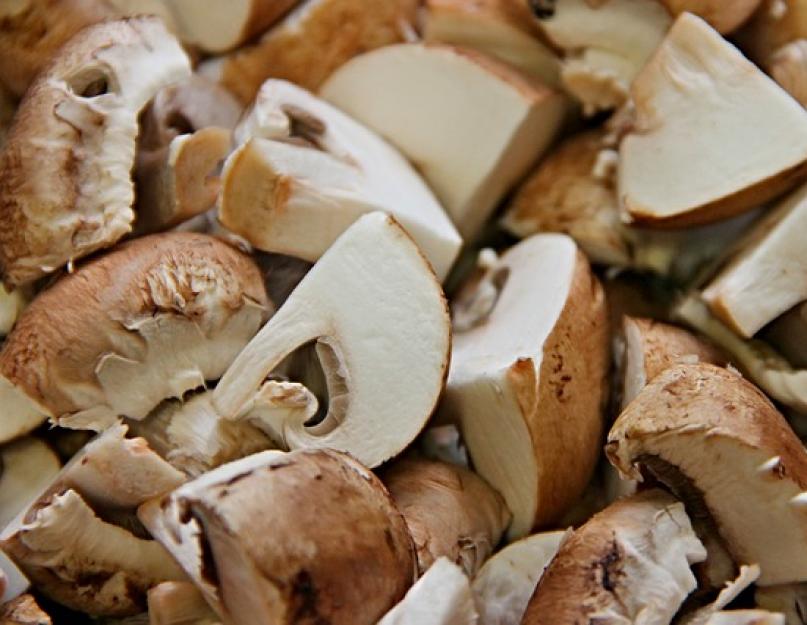 Как сушить грибы в домашних условиях правильно. Как правильно сушить грибы в домашних условиях – духовка и иные способы