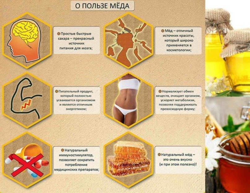 Вред меда для организма. Почему продукт пчеловодства бывает вреден? Пчелиный мед – польза или вред для здоровья
