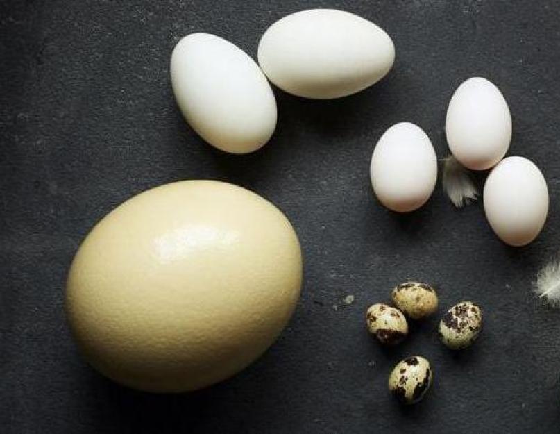 Сколько яиц в килограмме. Сколько весит яйцо