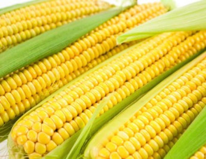 Простой способ варки кукурузы. Как варить кукурузу правильно: что мы не знали о царице полей
