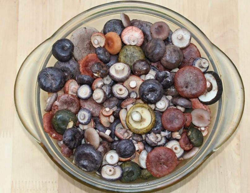 Как солить грибы кубари рецепт. Как засолить грибы на зиму: горячий и холодный способ