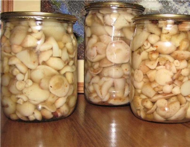 Отваренные грибы на зиму. Маринование грибов на зиму рецепты. Рецепт для консервирования опят