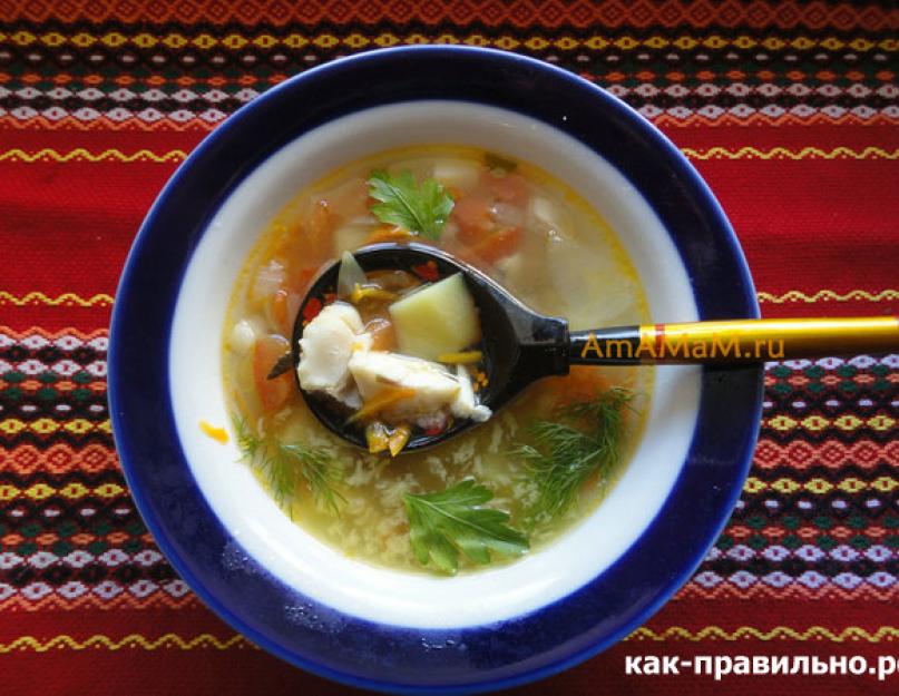 Что добавляют в суп для вкуса? Секреты приготовления супов. Супы рецепты. Как приготовить суп простые и понятные рецепты супов пошагово с фото