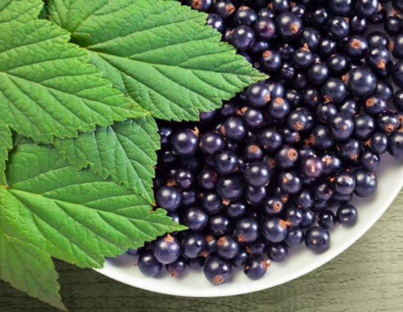 Préparer la pâte de kéfir pour les tartes.  Tartes rapides au kéfir (dans une poêle).  Tartes au kéfir poêlées avec pommes de terre