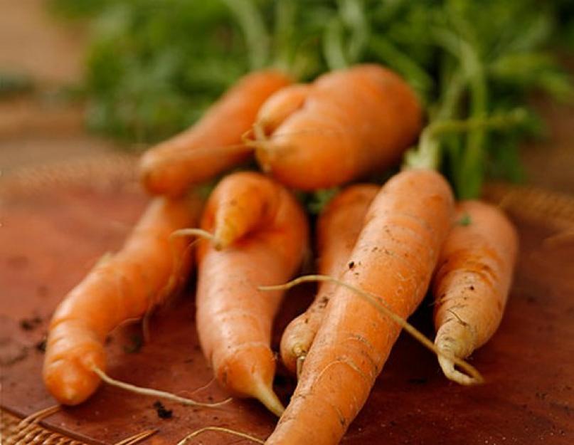 Морковь в морозилку на зиму. Как заморозить морковь. Выбор и подготовка корнеплода